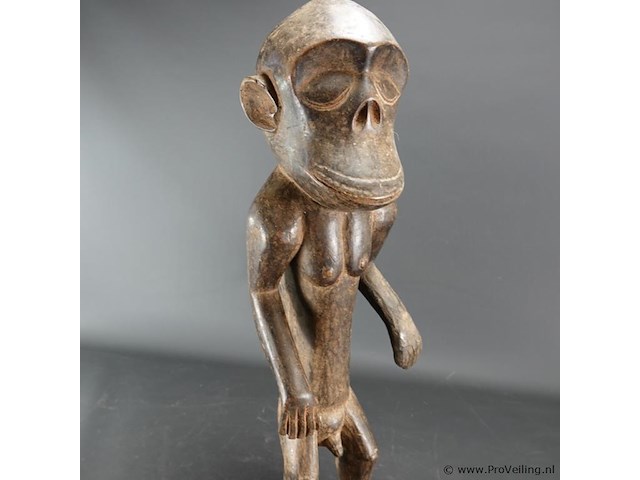 Tribal afrikaans tikar kameroens beeld - afbeelding 3 van  5