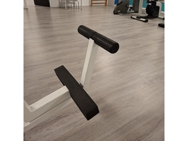 Triceps press technogym - afbeelding 12 van  12