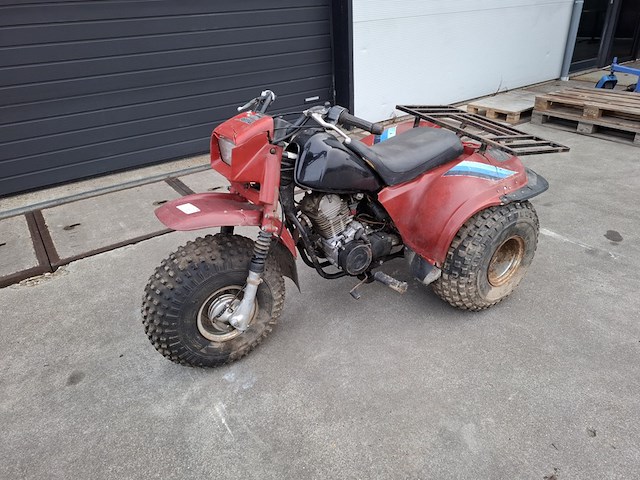 Trike, kawasaki, 185cc, rood - afbeelding 12 van  21