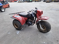 Trike, kawasaki, 185cc, rood - afbeelding 16 van  21