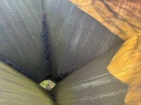 Tril trechter - afbeelding 4 van  6