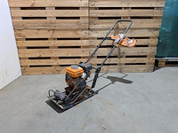 Trilplaat, evolution