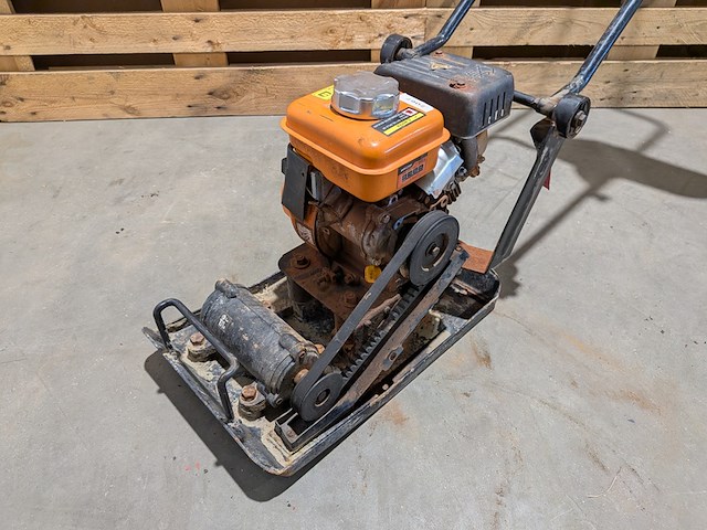 Trilplaat, evolution - afbeelding 2 van  8