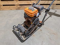 Trilplaat, evolution - afbeelding 2 van  8