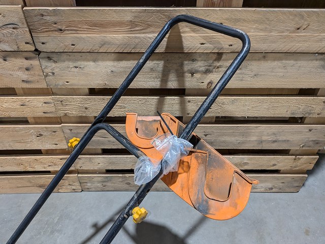 Trilplaat, evolution - afbeelding 3 van  8