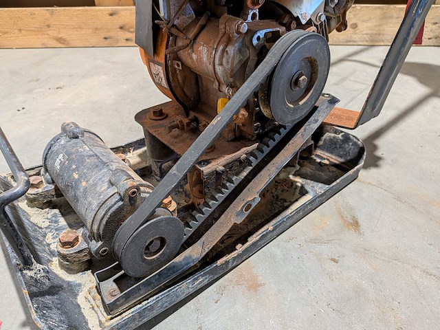 Trilplaat, evolution - afbeelding 4 van  8