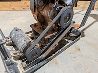 Trilplaat, evolution - afbeelding 4 van  8