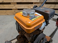 Trilplaat, evolution - afbeelding 5 van  8