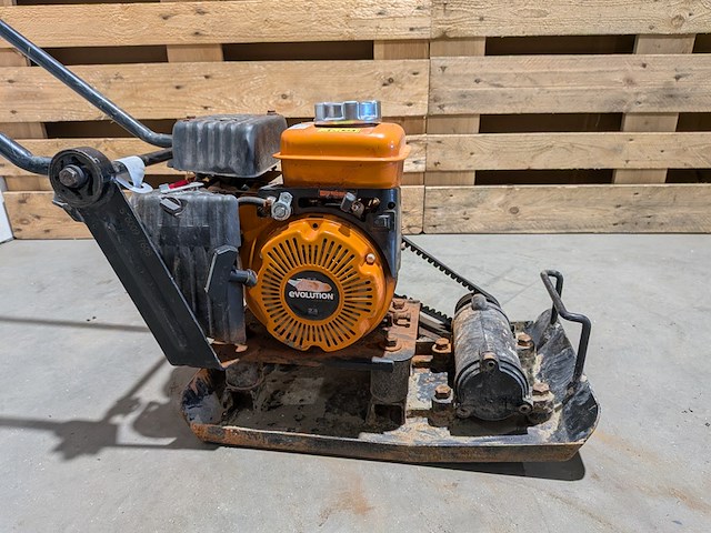 Trilplaat, evolution - afbeelding 6 van  8