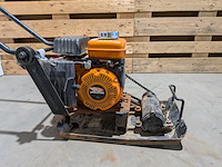 Trilplaat, evolution - afbeelding 6 van  8