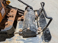 Trilplaat, evolution - afbeelding 7 van  8