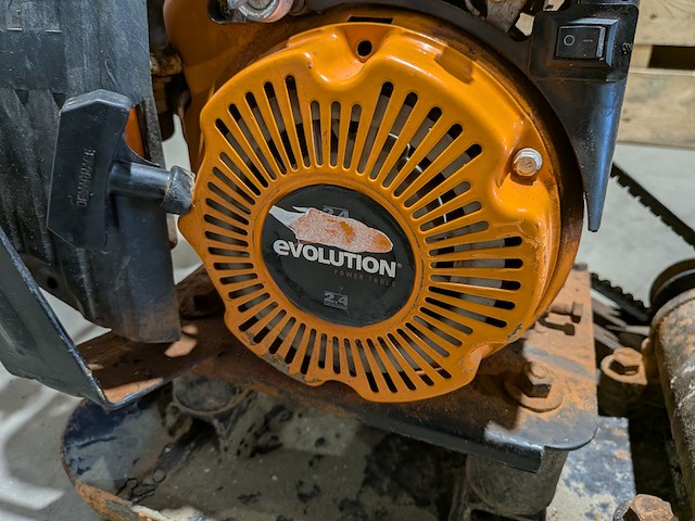 Trilplaat, evolution - afbeelding 8 van  8