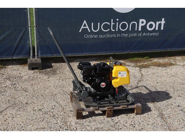 Trilplaat wacker neuson bps1550 benzine 4.4kw 2025 nieuw - afbeelding 1 van  1