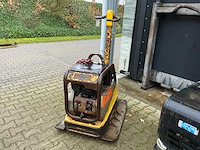 Trilplaat - afbeelding 3 van  7