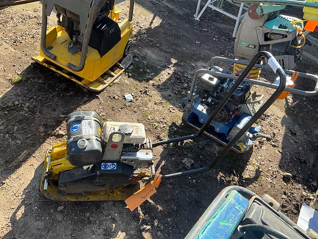 Trilplaat - afbeelding 2 van  6