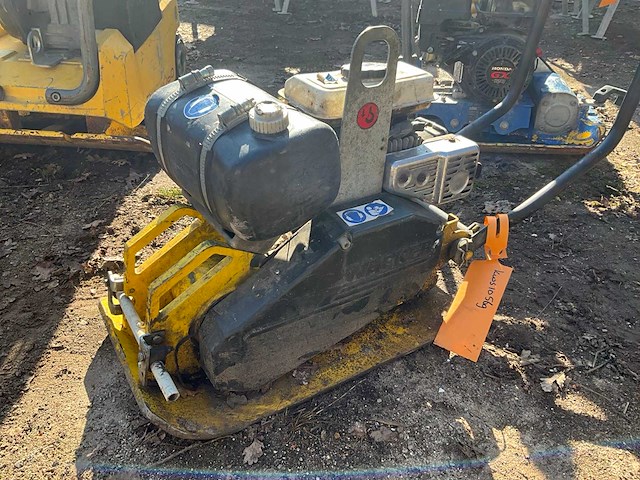 Trilplaat - afbeelding 3 van  6