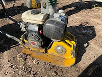 Trilplaat - afbeelding 4 van  6