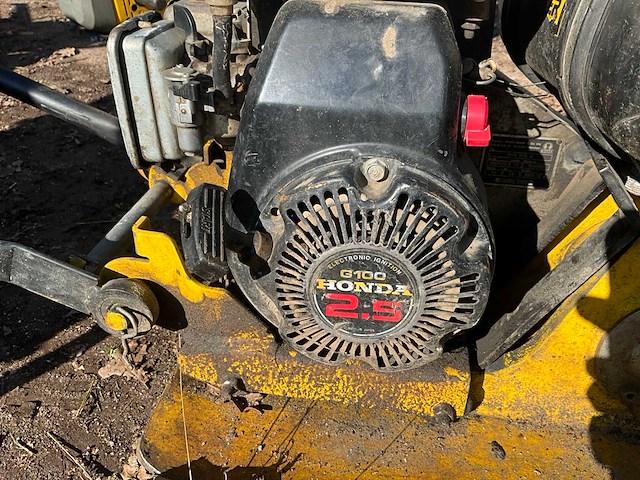 Trilplaat - afbeelding 5 van  6