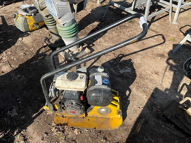 Trilplaat - afbeelding 6 van  6