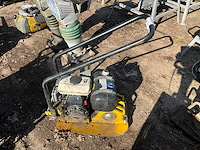 Trilplaat - afbeelding 6 van  6