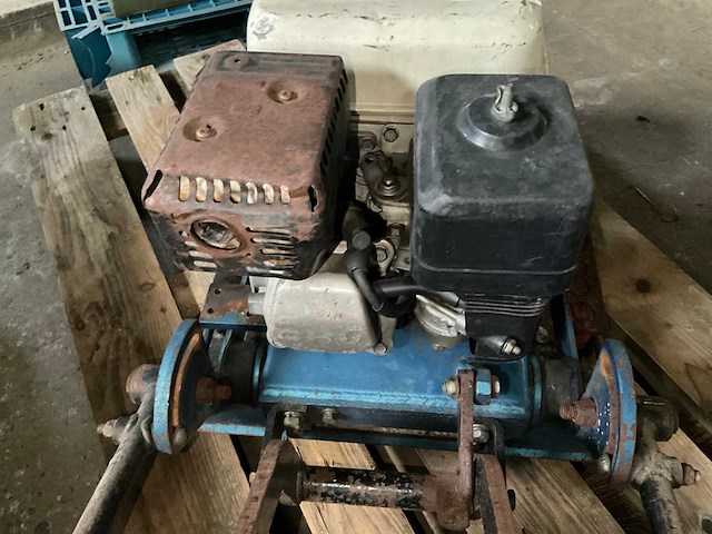 Trilplaat - afbeelding 6 van  6