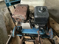 Trilplaat - afbeelding 6 van  6