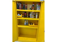 Trionyx chemicaliënkast - afbeelding 5 van  6