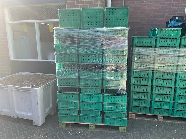 Triplett partij stapelkratten (circa 650 stuks) - afbeelding 4 van  7