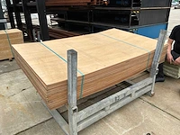 Triplex plaat (77x)