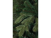 Triumph kerstboom hoogte 120 cm - afbeelding 2 van  4