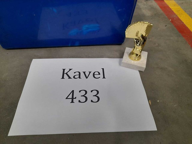 Trofee kaarten in hand (20x) - afbeelding 1 van  2