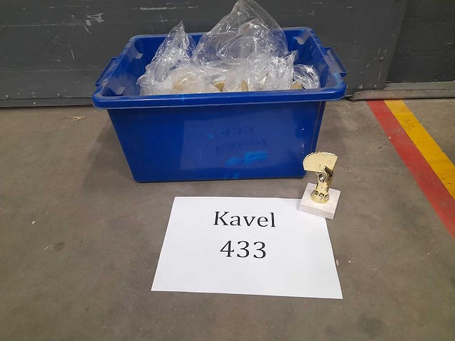 Trofee kaarten in hand (20x) - afbeelding 2 van  2