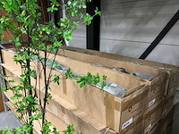 Tropaeolum kunstplanten h210cm (6x) - afbeelding 3 van  4