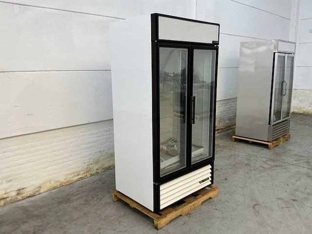 True - gdm-35f-ld vitrine - vriezer vrieskast - afbeelding 1 van  6