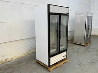 True - gdm-35f-ld vitrine - vriezer vrieskast - afbeelding 1 van  6