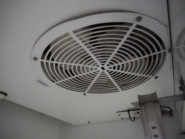 True - afbeelding 7 van  10