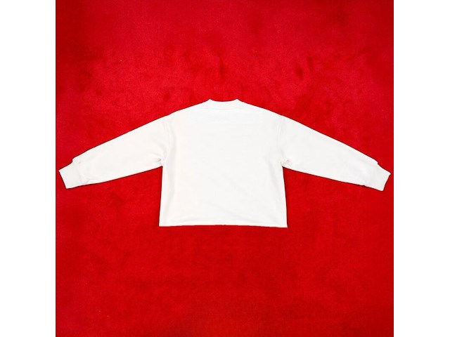 Trui bankzitters, ziggo dome world tour, wit, gedragen door raoul de graaf | maat xl - afbeelding 2 van  2