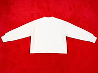 Trui bankzitters, ziggo dome world tour, wit, gedragen door raoul de graaf | maat xl - afbeelding 2 van  2