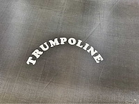 Trumpoline rond trampoline diameter 4,88m - afbeelding 3 van  9