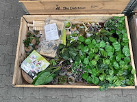 Tuin & terras accessoires - afbeelding 2 van  5