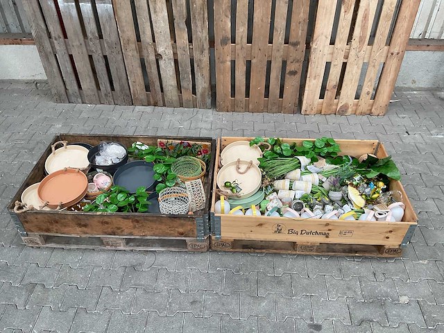 Tuin & terras - afbeelding 1 van  3