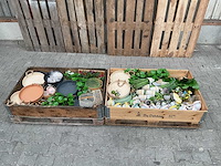 Tuin & terras - afbeelding 1 van  3