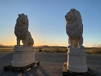 Tuinbeeld - afbeelding 2 van  5