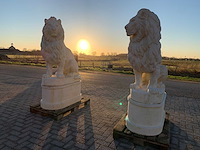 Tuinbeeld - afbeelding 4 van  5