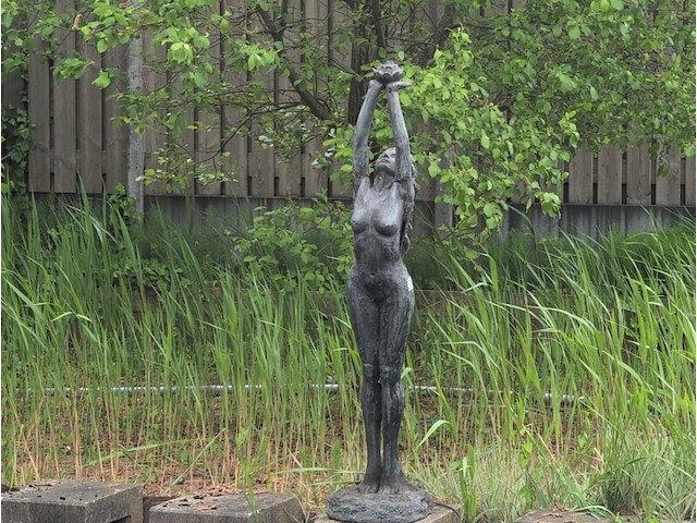 Tuinbeeld - afbeelding 1 van  5