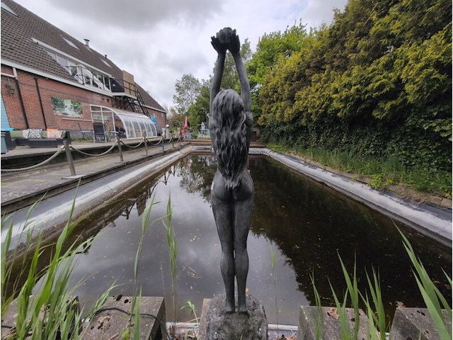 Tuinbeeld - afbeelding 4 van  5