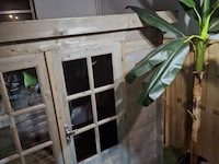 Tuindeco tuinhuis blokhut kris - 290x200cm - afbeelding 4 van  10