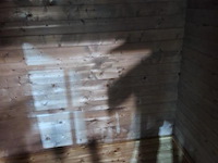 Tuindeco tuinhuis blokhut kris - 290x200cm - afbeelding 7 van  10