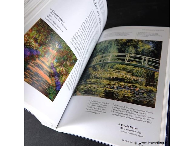 Tuinen en labyrinten - afbeelding 4 van  5