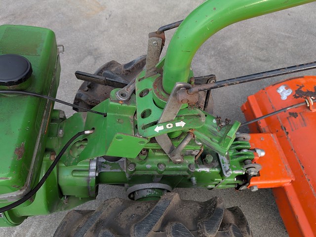 Tuinfrees, agria, 3400 - afbeelding 2 van  19